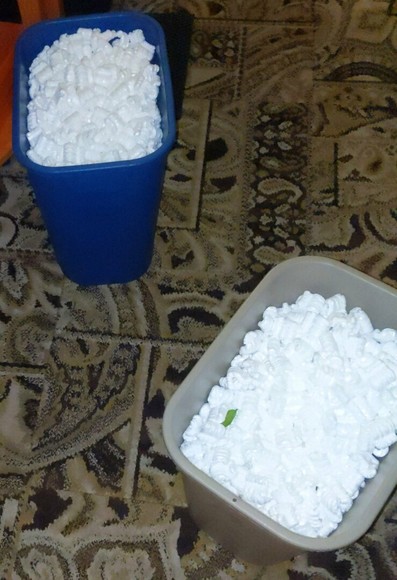 A blue recycling bin and gray trash bin filled to the brim with Styrofoam peanuts. The gray bin has a single leaf on top of the peanuts which came from the bonsai tree the peanuts were protecting.