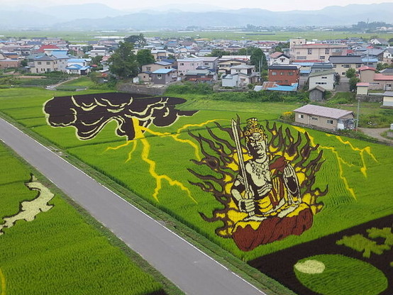 via Wikimedia, Tanbo art, Inakadate, Aomori Prefecture. Acala from the 2012 work “Hibo Kannon and Acala”. Viewed from village administation building: image of Akala, a Buddhist deity, holding a sword and surrounded by flames with a dark cloud and lightning bolt, over several rice paddies in shades of yellow, red, and black