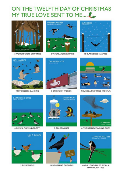 Poster showing 12 days of Christmas with various birds