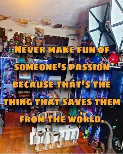 Meme with background photo showing a variety of nerdy items, such as Star Wars figurines, spaceship models, action figures in packaging, etc. There are rare spaces on the walls or ceiling which are not covered in such items. 

The meme text reads, 

"NEVER MAKE FUN OF SOMEONE'S PASSION, BECAUSE THAT'S THE THING THAT SAVES THEM FROM THE WORLD."