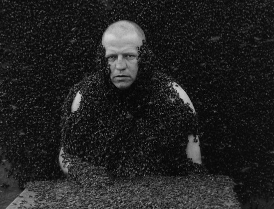 A white man with a buzz cut sits at a table. He looks confidently into the camera. The wall and table are covered in bees. Interestingly, the bees are also all over the man's upper body. He has smeared his body with a substance that imitates the scent of a queen bee.

This is a still from 'Springtime', a film from 2010-2011 by the Dutch video artist Jeroen Eisinga.