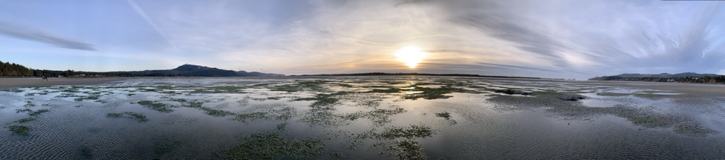 Panorama of Netarts Bay, OR just after the peak of low tide. It is sometime around 5:30 and the sun displays a more subtle halo as it sets just above Netarts Spit. Many tide pools with vegetation remain as the tide slowly begins to return.