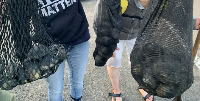 My brother, friends, and I each holding our limits of butter clams in clam nets.