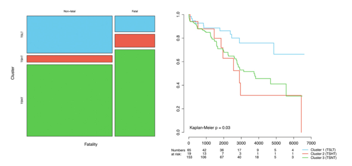 Association of clusters with total fatality (left, Mosaic plot) and time-course of survival (right, survival analysis with Kaplan-Meier plot). The survival is significantly worse in TSHT and TSNT clusters.