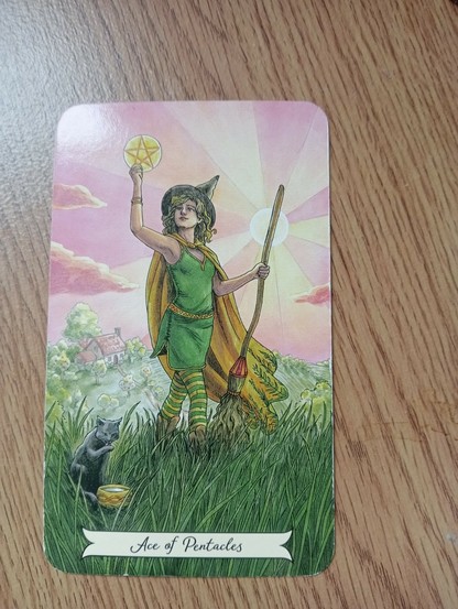 Tarot card Ace of Pentacles