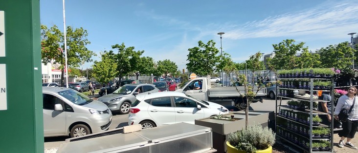 Die Parkplatz Zufahrt - Stau bis .... ohne Ende