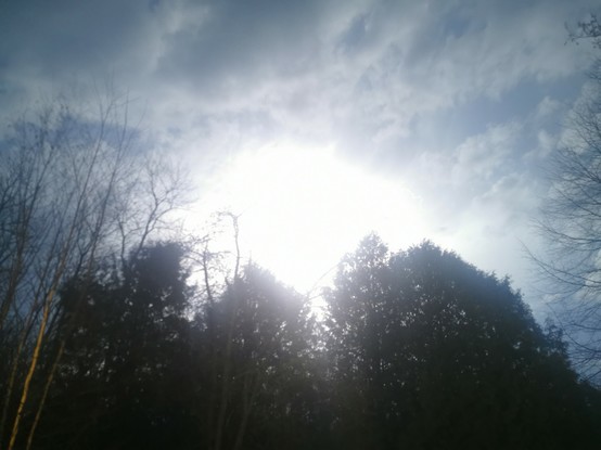 dark evergreen trees and leafless spruces. clouds looks white and fluffy and the sky blue, and centred with a bright flash from lightening. it is taken in pitch darkness, but the lightening lights up everything