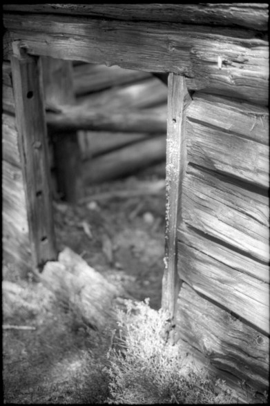 A black and white photograph of the entrance to an old cottage, made out of timbers. The door is quite small, and moss is growing on the edges of it. The timbers look weather-worn and you can see the rough fibers of them starting to split.