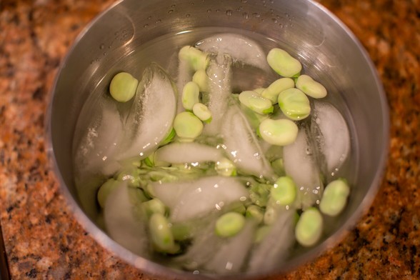 Pale green seeds floating in a metal bowl filled with water and ice cubes.