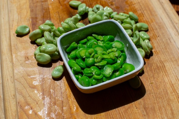 Bright green, wet cotyledons in a white bowl with empty seed coats in background.