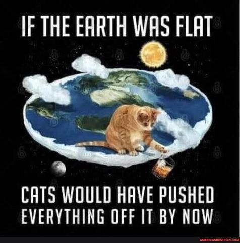 |F THE EARTH WAS FLAT, CATS WOULD HAVE PUSHED EVERYTHING OFF IT BY NOW