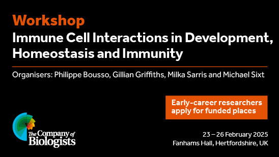 Workshop

Immune Cell Interactions in Development,
Homeostasis and Immunity

Organisers: Philippe Bousso, Gillian Griffiths, Milka Sarris and Michael Sixt 
23-26 Feburary 2025
Fanhams Hall, Hertfordshire, UK