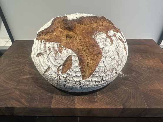 A round loaf of khorasan wheat sourdough bread. It has rustic crust. The flour lines created by the proofing basket are recognizable.