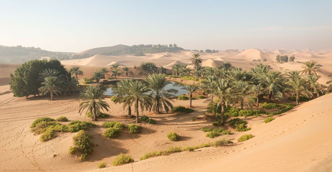 photo - groundwater expressed as a oasis in the Greater Sahel, Africa