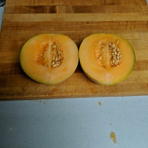 A small musk melon that has been cut in half. It has orange flesh and there are lots of plump seeds in the center that were saved for future crops.