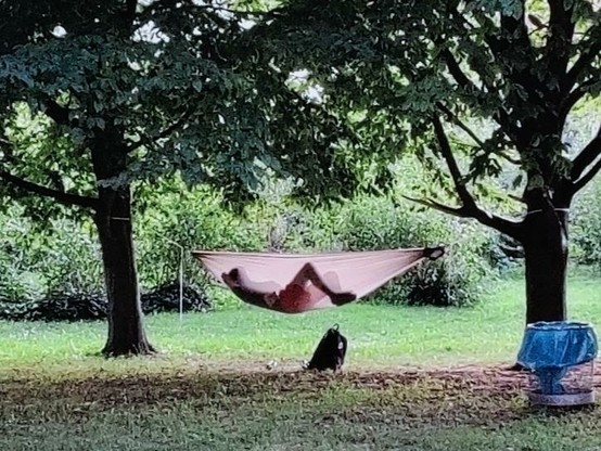 Blick auf einen Menschen in einer Hängematte, die zwischen zwei Bäumen aufgehangen wurde.
Durch den halbdurchsüchtigen Stoff sieht man die Silhouette eines Menschen.