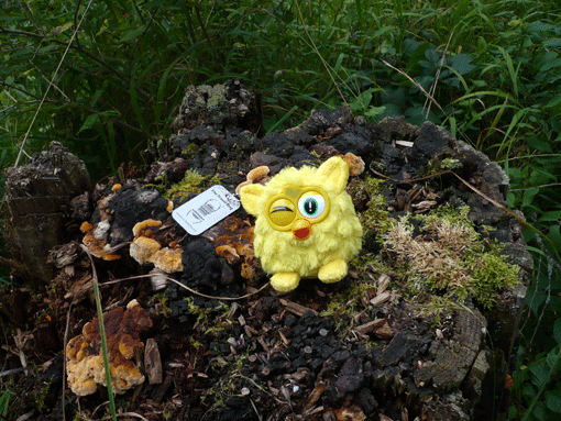 Liesl, ein gelbes Monsterchen mit einem geöffneten grossen Auge. Ein Travel Bug ist ein kleiner Gegenstand, der mit einem individuellen Tracking-Code versehen ist. und ermöglicht ihn auf seiner Reise von Cache zu Cache zu verfolgen.