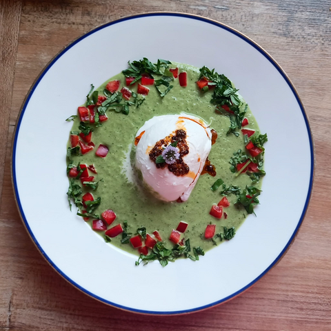 Das fertige Gericht auf dem Teller. In der Mitte der Mozzarella in der Gurkensauce, am Rand Paprikawürfel und Basilikum