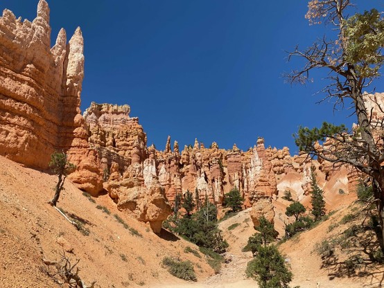 From the canyon floor, looking at the hoodoos towering above. The sky is so impossibly blue in contrast to the tan/orange-ish stone