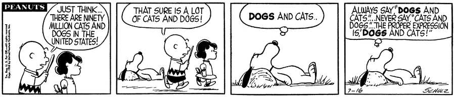 "Peanuts" cartoon by Charles Schulz for 26th of July, 1958.

This is a four-panel comic strip.

First panel:
Charlie Brown and Lucy van Pelt are walking. He reads a newspaper or magazine out loud to her: 'Just think...there are ninety million cats and dogs in the Unites States!'

Second panel:
Charlie and Lucy continue walking. In the background, Snoopy is lying the ground. His eyes are closed and his head is resting on a small mound of earth as though he's having a nap. Charlie says: 'That sure is a lot of cats and dogs!'

Third panel:
Close-up view of Snoopy, who thinks: 'Dogs and cats.' In his thought-bubble, the word, 'Dogs' is bold for emphasis.

Fourth panel:
Snoopy continues: 'Always say "Dogs and Cats"...Never say "Cats and dogs"...the proper expression is "Dogs and cats!"' In his thought-bubble, the first and last instances of the word, 'Dogs' are bold for emphasis.