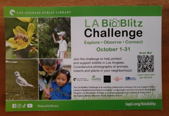 Green and white postcard has 4 photos in a grid on left (insect, bird,  and people looking closely at leaves) and words on the right..."crowdsource photographs of animals, insects and plants in your neighborhood".