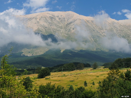 Farbfoto - Blick auf das bis zu 2700 m hohe Majella-Bergmassiv in Abruzzo, Mittelitalien. Im Vordergrund eine gelbe Wiesenfläche mit grünen Bäumen, in Bildmitte höhere Waldstände und im Hintergrund das fast kahle Hochgebirge mit verstreuten Wolken davor. Blauer Himmel mit ein paar weißen Wolken.