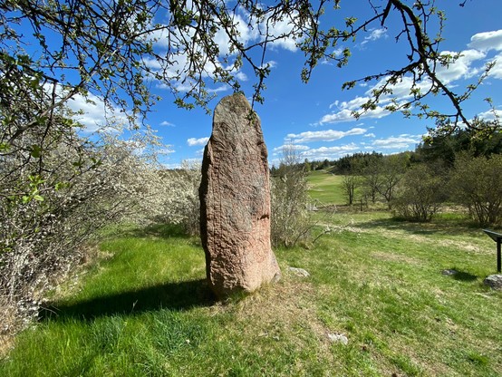 A wide agot of the runestone. The ground around it is green grass. There are a few branches at the top of the photo. To the left there is a bush. The sky is blue with a few white clouds. The stone stands on a small hill, with green fields behind it.