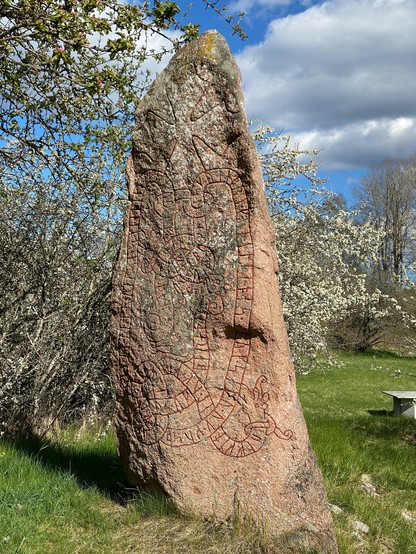 A closer photo of the runestone from a slight angle to right. Most of the inscription is visible, even though there is some lichen covering the front of the stone.