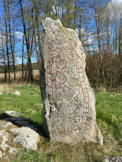 Closeup photo of the runestone U 161. It has two rune snakes connected by bands at the top and bottom. There is a large cross at the top of the stone, and a smaller cross between the snakes. There are smaller stones lying on the ground to the left of the runestone. It stands in a field of grass. Behind there is a line of trees.