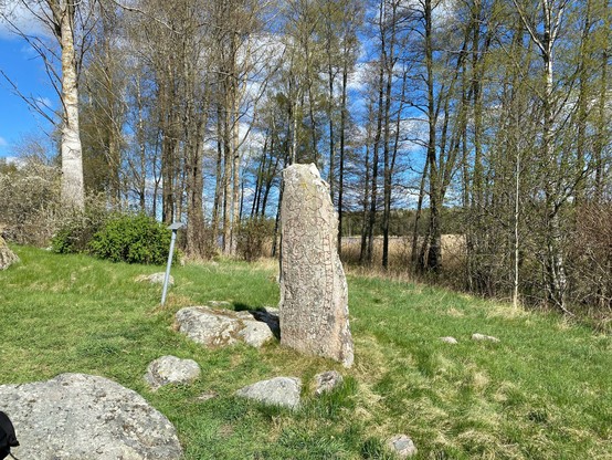 A wide shot of the runestone U 161 from a slight angle. Behind the line of trees in the background it is possible to see a bit of the Vallentuna lake.