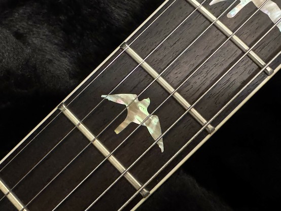 Close-up of a guitar fretboard featuring inlaid bird-shaped markers made of mother-of-pearl. The background is dark and plush.