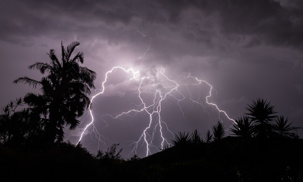 A multi forked lightening strike. Many smaller forks off the main ones. Dramatic dark clouds at the top. Palm trees silhouetted in the foreground.