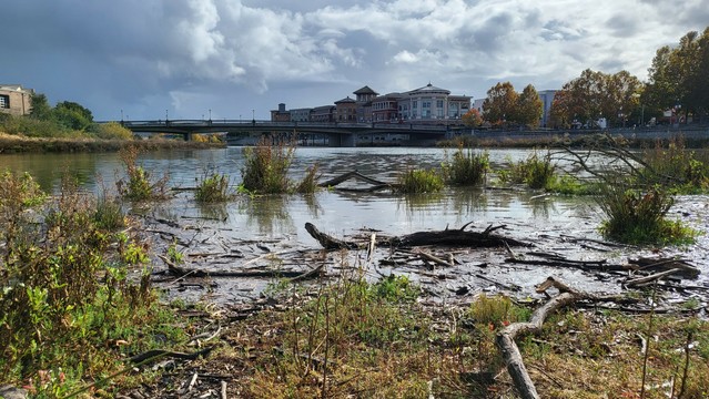 We are standing on the grassy side of a wide slow moving river. Some of the grasses are inundated by water. Across the river are some buildings, fall colored trees and a bridge. The sky is filled with big puffy clouds.