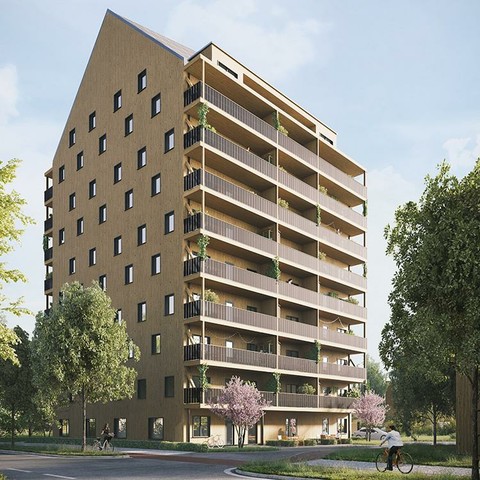 Render of the project