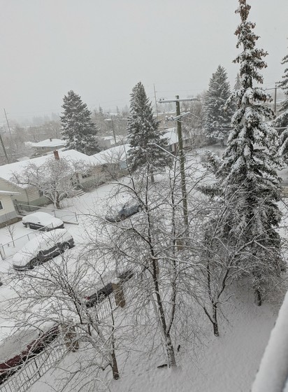 Looking down at all the snow that covered my neighborhood over night at two little squirrels running amongst the trees.