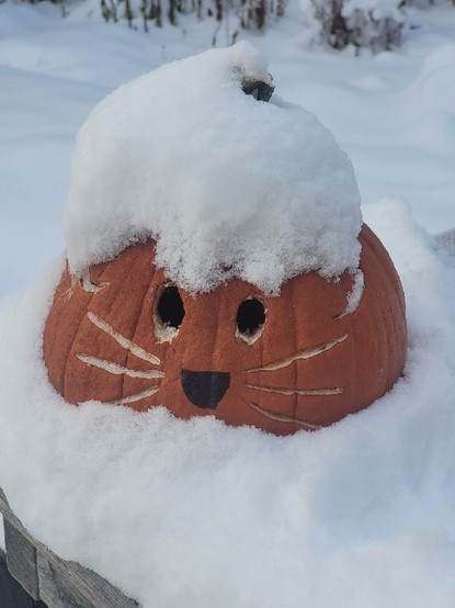 This picture is of a small orange pumpkin carved with a mouse like face covered in snow from a recent snowfall. Cute.