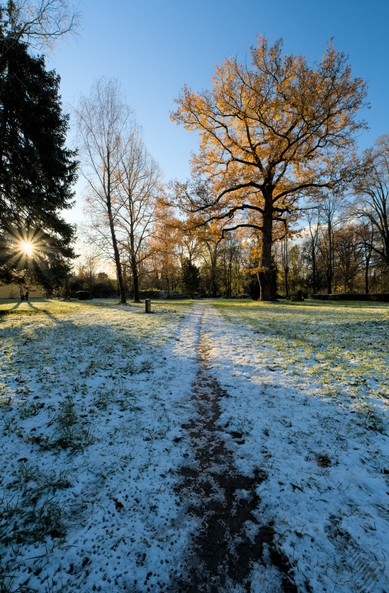 Weitwinkelfotografie im Hochformat. Die Szene ist morgendlich und zeigt einen Trampelpfad, der auf einer Wiese vom Betrachter weg in die Bildmitte verläuft. Der erdbraune Pfad und die grüne Wiese ist mit etwas weißem Schnee gesprenkelt. Von links scheint hinter einem Nadelbaum die Sonne ins Bild und lässt die orangenen Blätter eines großen Laubbaums, der hinten rechts in der Szene steht, hell gegen den blauen Himmel erstrahlen. Die Lichtstrahlen der Sonne tauchen die Wiese und den Schnee in goldenes Licht. Nur im Vordergrund wirft der Nadelbaum von links einen Schatten, sodass der Schnee blau-kalt wirkt. Im Hintergrund sind weitere Büsche und kahle Bäume vor blau-weißem Himmel zu sehen.