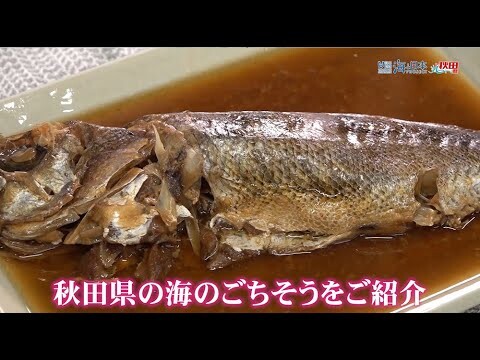 🌊「海のごちそうフェスティバル」と🐟『秋田県の海のごちそう』　2024年11月24日（日）放送