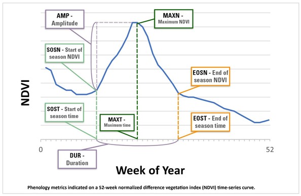 graphic / chart - Phenology metrics indicated on a 52-week normalized difference vegetation index (NDVI) time-series curve.