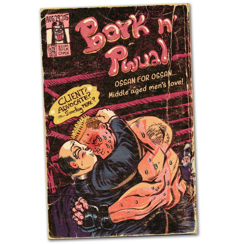 cover of Bork n' Pwual doujin.  Brock and Pwual kiss and hug after a match