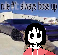 nano shinonome drawn on top of the always boss up cat