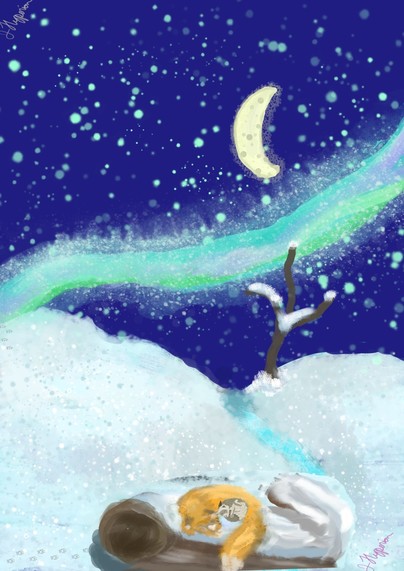 A winter scene set at night. In the dark blue skies of night twinkle green stars of varying sizes.  Under a shining yellow crescent moon blazes a blue green aurora. Below the skies are snow covered hills, shades of light blue, gray and white to give the snow a sparkling look. The hills are split by an icy blue creek. A lone barren tree stands to the right covered in snow. On the left you can see faintly gray fox pawprints coming from the aurora. The prints trail off screen to the left. Follow the icy creek to the bottom of the image. Centered its a downed tree, covered in snow. The pawprints come to the right from offscreen. On the log lays two sleeping creatures. An orange fox is covering its face with its paws wrapping around a belly up sable (brown, tan and white with a mask) ferret. Signed in the bottom right is J. Hyperion in pink.