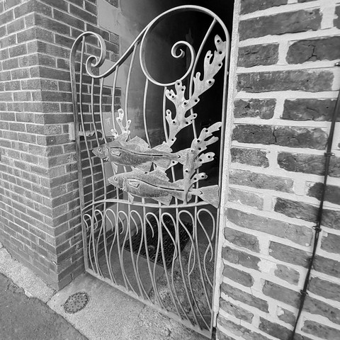 Fishy-Gate for #MonochromeMonday 

wrought iron gate with two fish and seaweed decorative elements