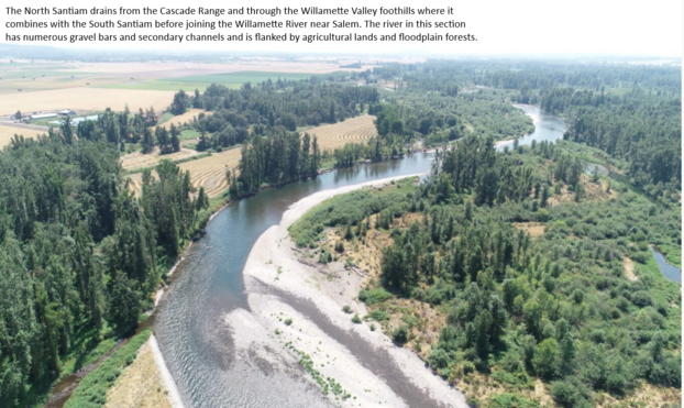 drone photo - oblique - The North Santiam drains from the Cascade Range and through the Willamette Valley foothills where it combines with the South Santiam before joining the Willamette River near Salem. The river in this section has numerous gravel bars and secondary channels and is flanked by agricultural lands and floodplain forests.