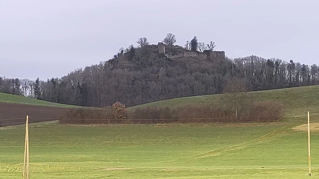 Hegaulandschaft mit Wiesen und Blick auf die Burgruine Homboll.