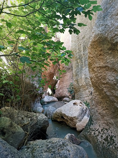 Fotografía de la ruta del Barranco Luna, en la provincia de Granada. Discurre un río entre paredes de roca salpicado por varias piedras de gran tamaño. Hay algunas ramas con hojas, principalmente a la izquierda de la imagen.