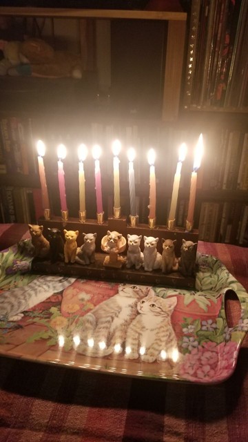 A fully lit chanukiyah for night eight. It is short, and each candle and the shamash have a plastic kitty in front. The kitties are different colors like white, orange, grey. The shamash kitty is in a cat tree. The chanukiyah is on a cute kitty tray that shows kittens sitting in a garden.