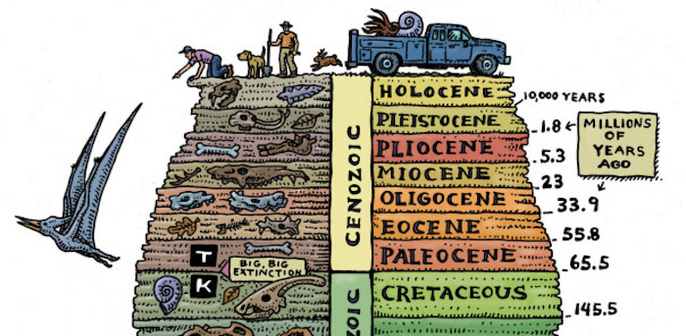 Image humans pets and “utility” vehicle on surface 

Beneath them are layers of earth within are the bones or older fossils of extinct animals with text

Vertically 
CENOZOIC 

Horizontally
HOLOCENE (10,000 years) 
PLEISTOCENE (1.8 million years) 
PLIOCENE (5.3 Million)
MIOCENE (23)
OLIGOCENE (33.9)
EOCENE (55.8)
PALEOCENE (65.5)

the big Extinction 

Cretaceous (145.5)