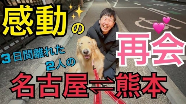 帰省先から帰ってきたパパから離れない愛犬に涙がでそうになりました