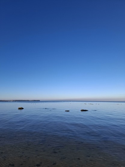 Wasser & Himmel: Winterostseeblau. 
Auf dem zweiten Foto m(ein) Hund am weiten, leeren Ostseestrand.